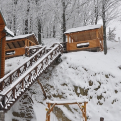 Зал для сніданків 17