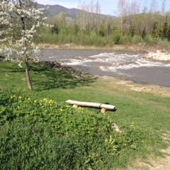 Річка Черемош 3