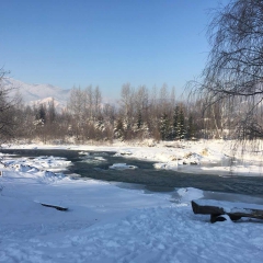 Річка Черемош 5